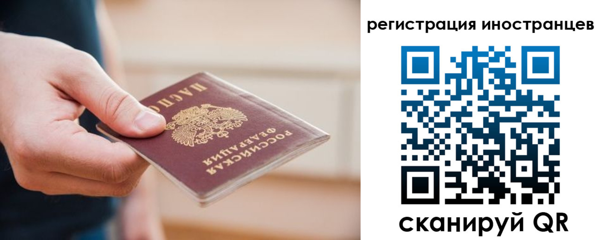 прописка гарантия в Новоалександровске